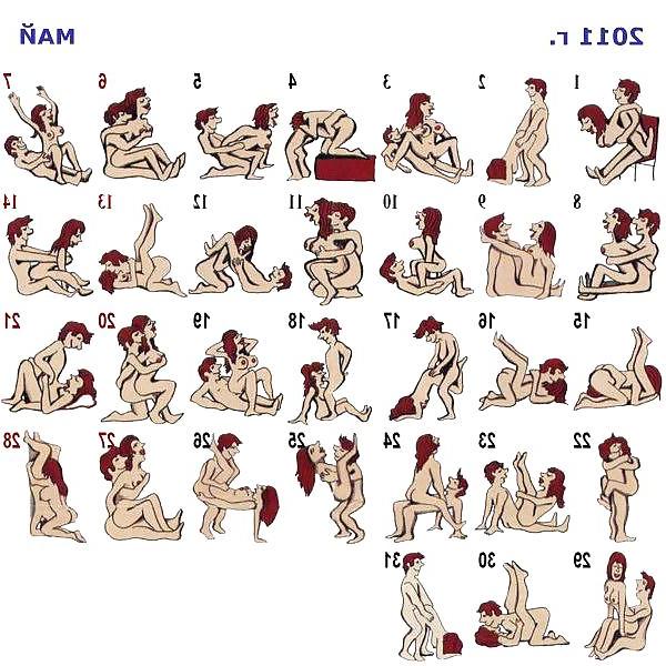 15P Sex Positions For 365 Day's