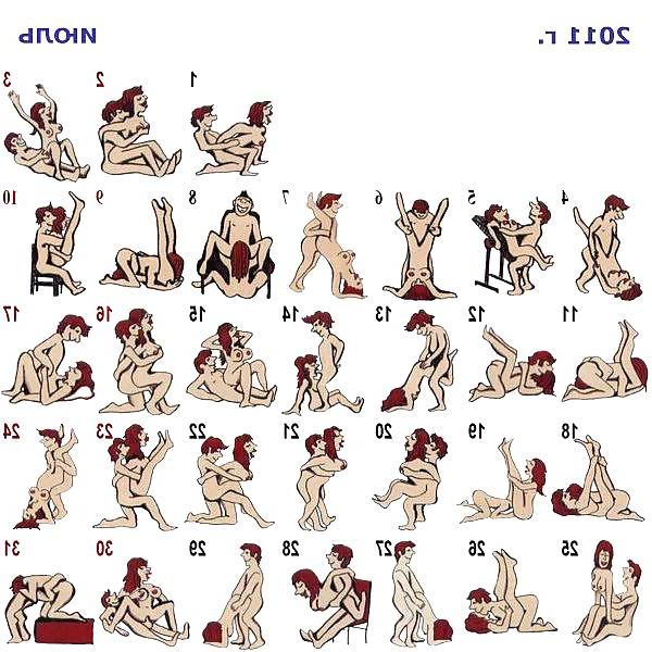 15P Sex Positions For 365 Day's