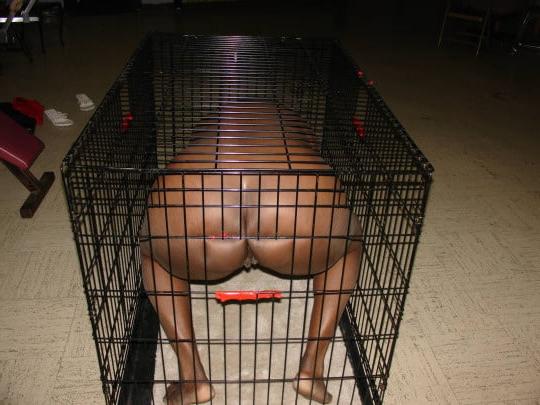 25P How to Treat Your Negro Slave PT 3