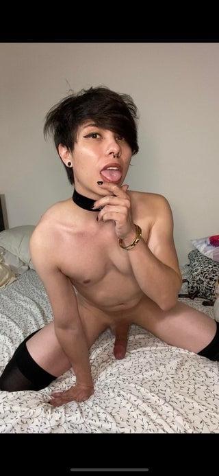 5P Shemales Traps Trannys Femboys and sissy's Pics and Gifs.