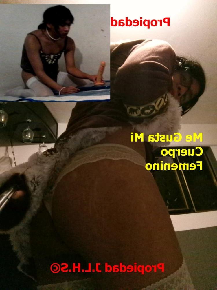 25P Joselynne Cd My Sissy Latin Caps 01