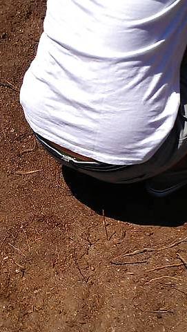 4P Friends Sister Panties Peek