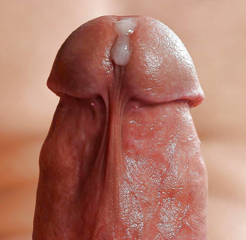 25P Pascha' sissy wife