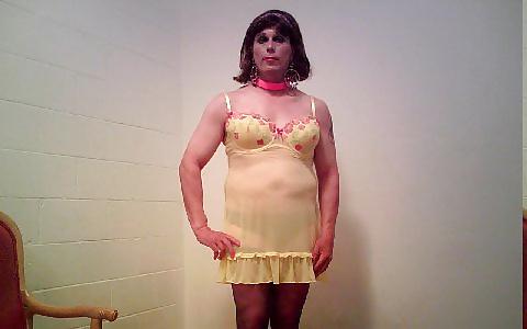 11P Sissy - Dorena Pansy