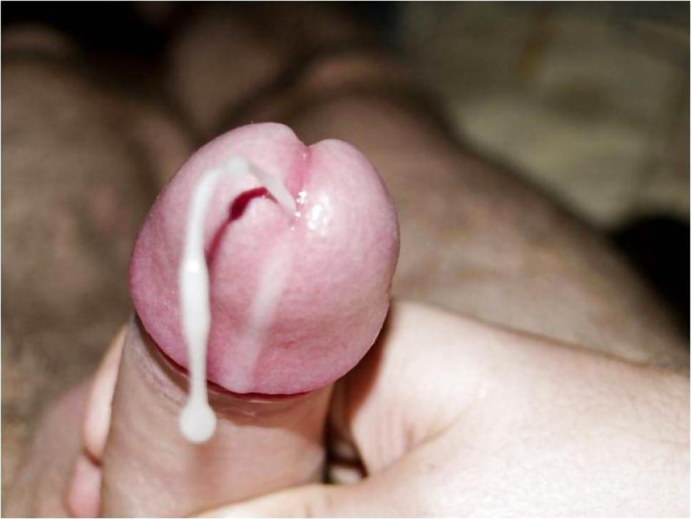 25P Having tried cock and hormones- you will become sissy