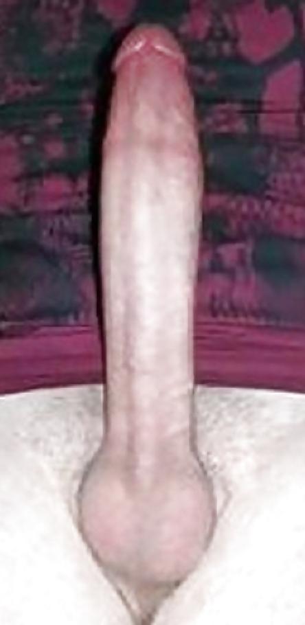 25P Just Huge Hung Cocks!