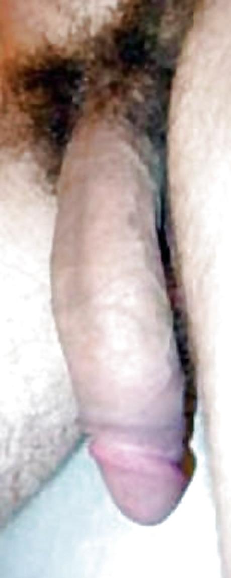 25P Just Huge Hung Cocks!