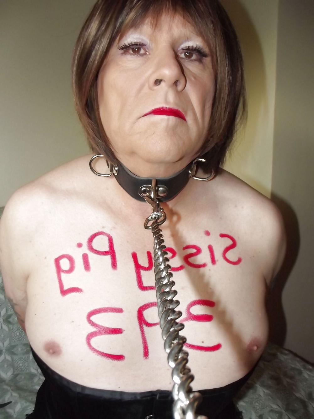 8P Amandacarms sissy pig