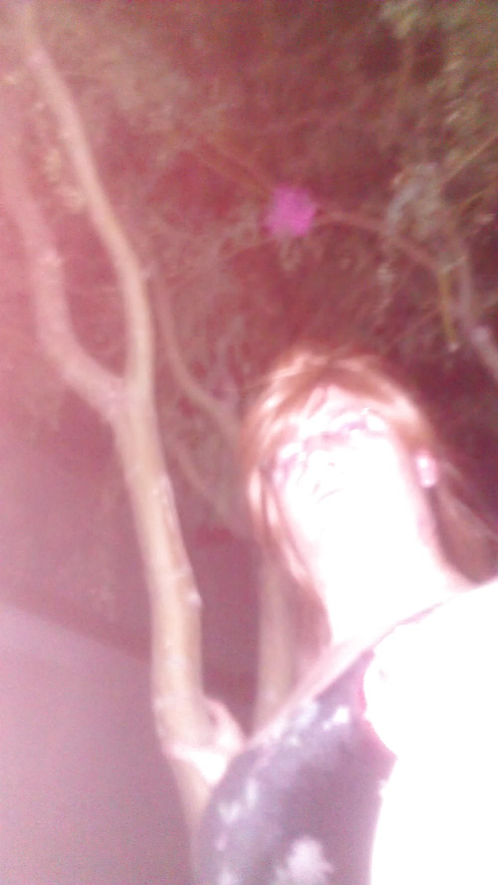 9P Sissy brian