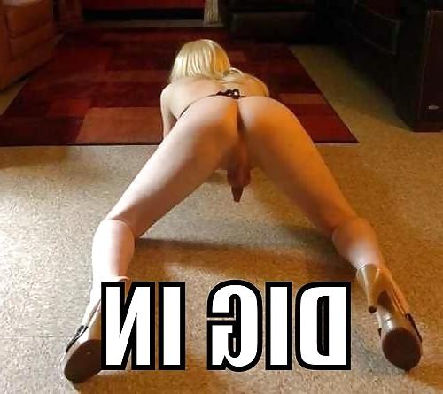 20P Sissy Captions I Love 2