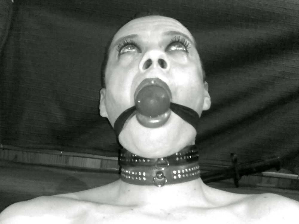 8P Slave travbelgium
