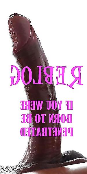 22P Sissy reblog