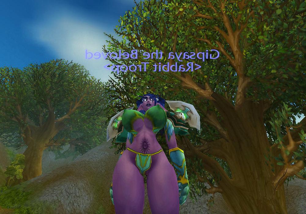 22P My Warcraft Whores: Nelf Skank