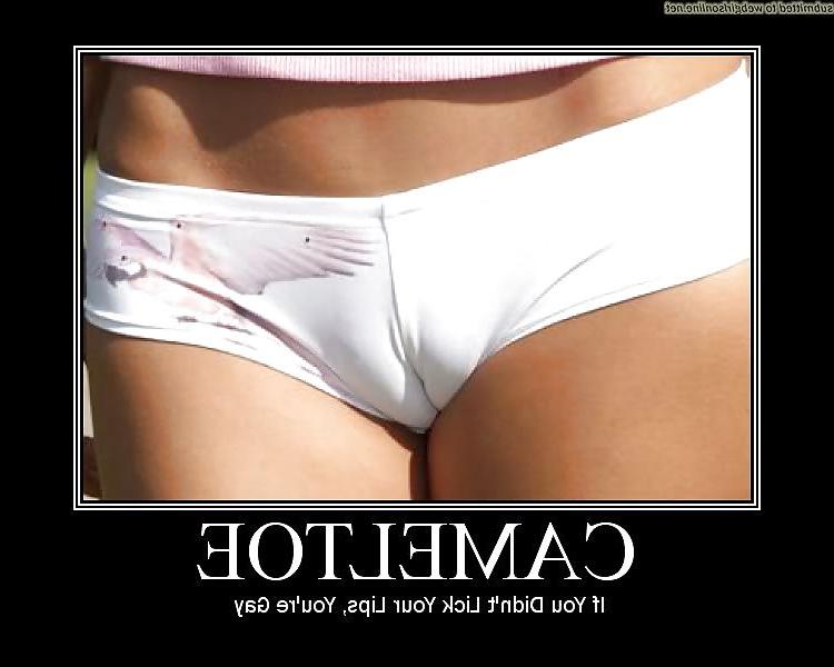 14P Cameltoe love it