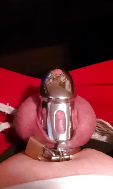 25P Sissy cocks locked away