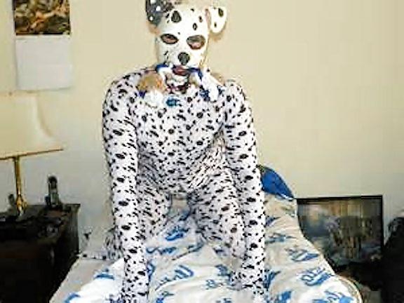 7P Dalmation Slave