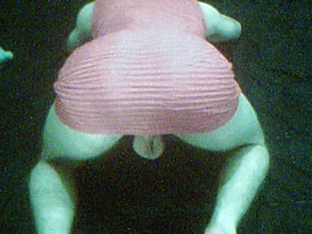 19P Sissy Me !