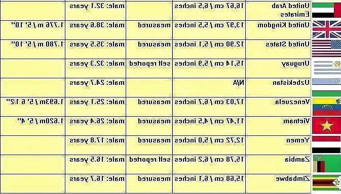 11P Official World Penis Average Size 