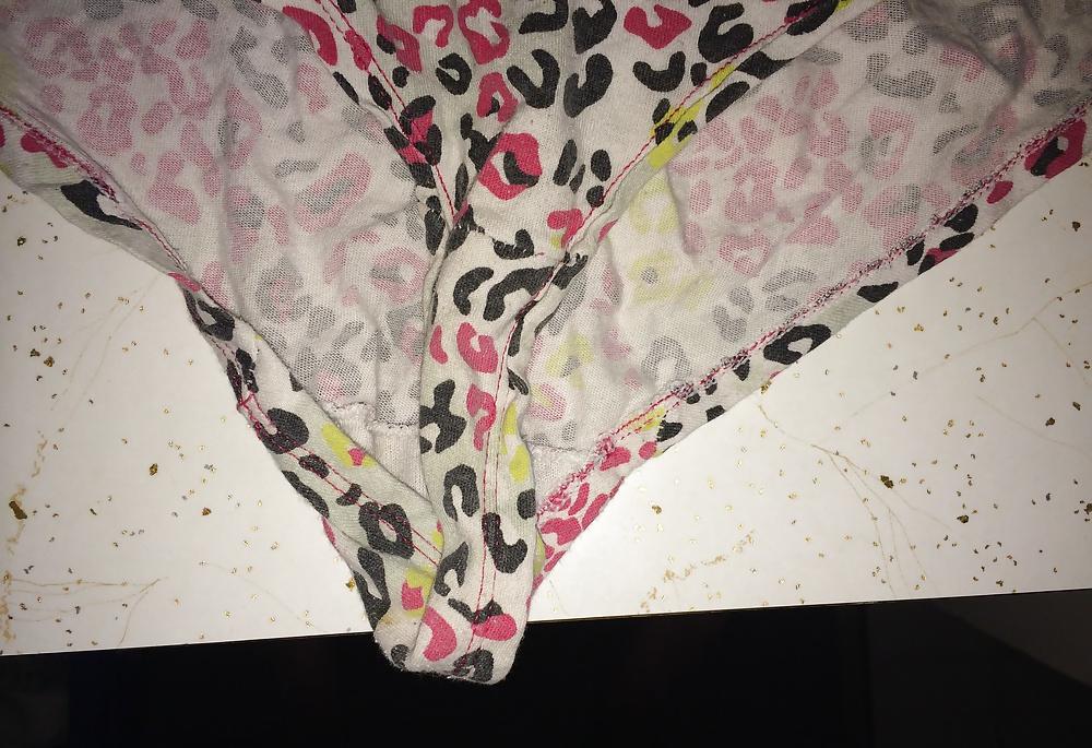 4P GF's Sister's Panties