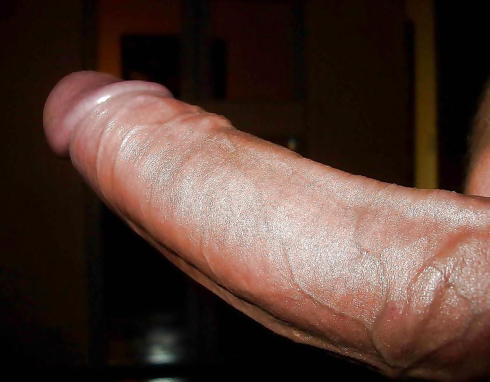25P Sissy Blowjob Trainer Slideshow