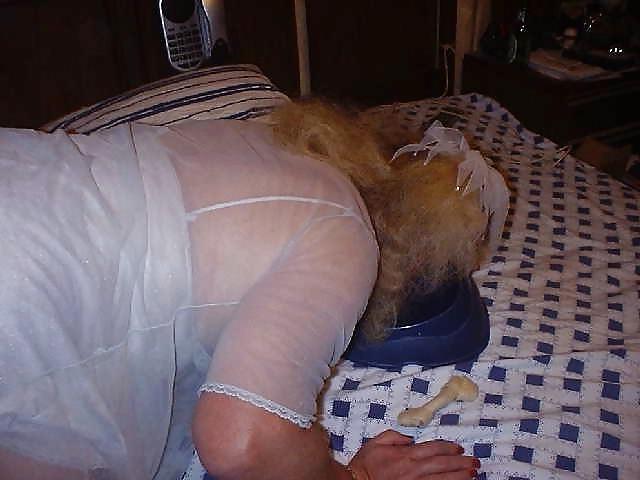 18P Fifi - the sissy male puppy