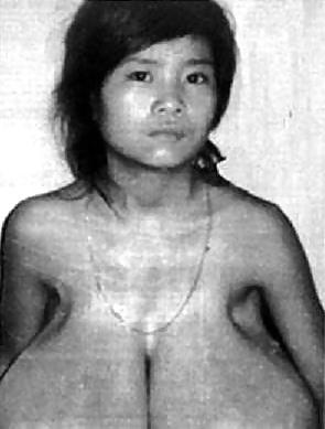 25P World best Breast collection ever
