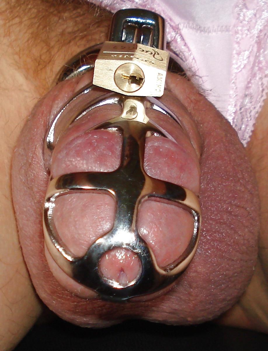 22P Sissy cock in steel cages