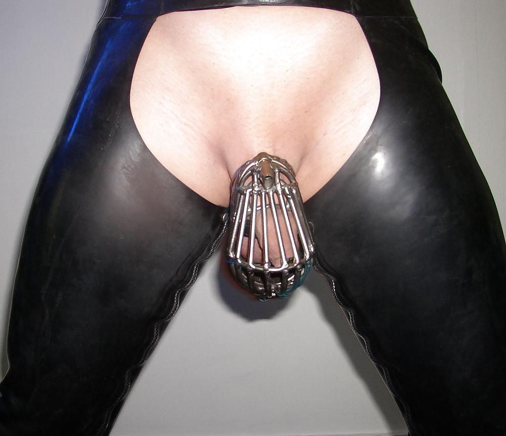 22P Sissy cock in steel cages