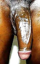 6P Sissy rewards