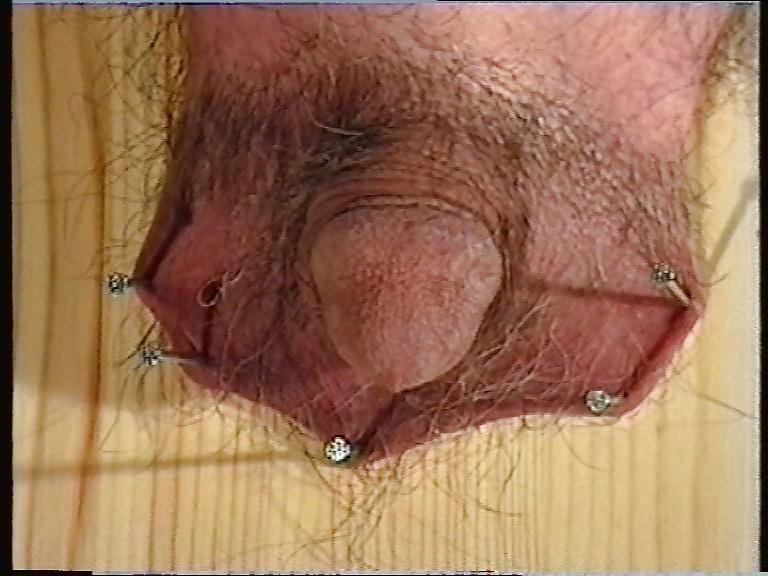 6P Punishmenf of a male slave