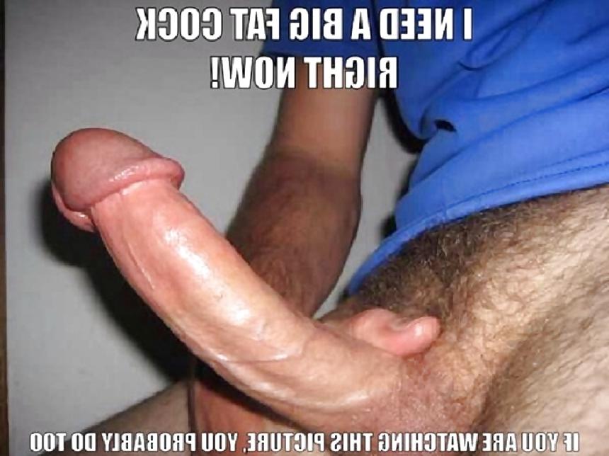 13P Sissy boys pics and comments