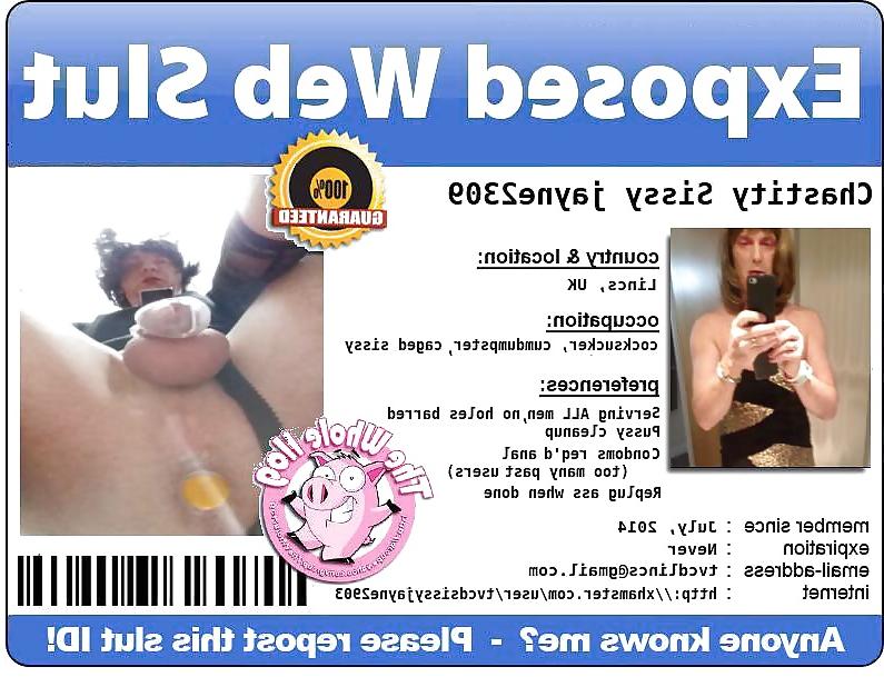 6P Sissy's custom ID Cards