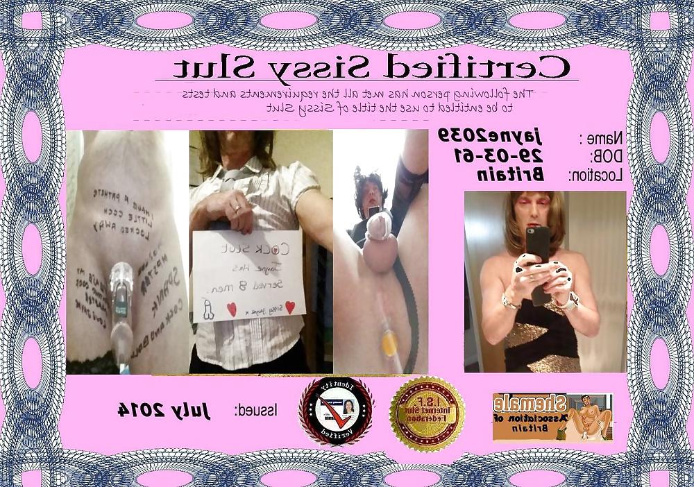 6P Sissy's custom ID Cards