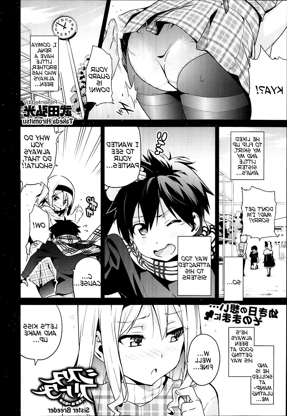 25P (Takeda Hiromitsu) Sister Breeder