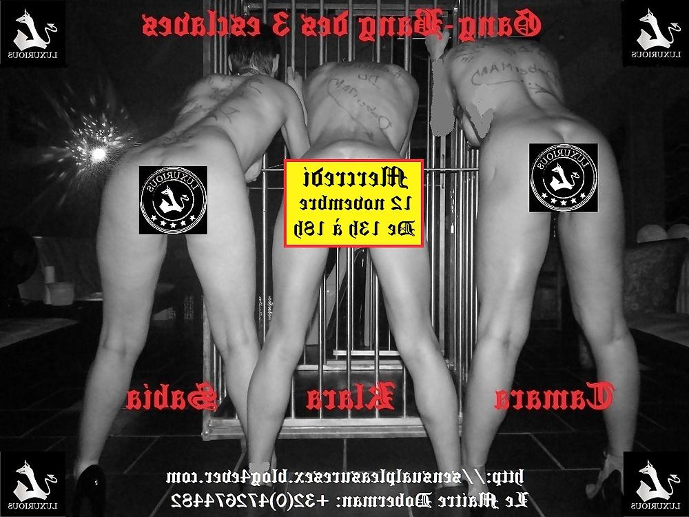 9P GangBang 
