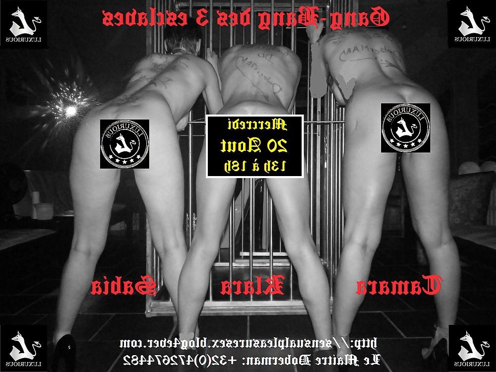 9P GangBang 