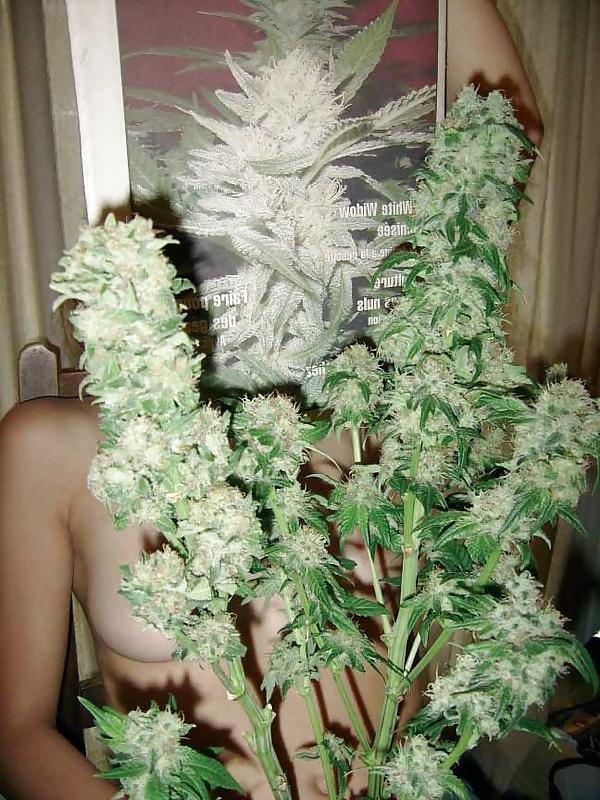 25P A Friend With Weed