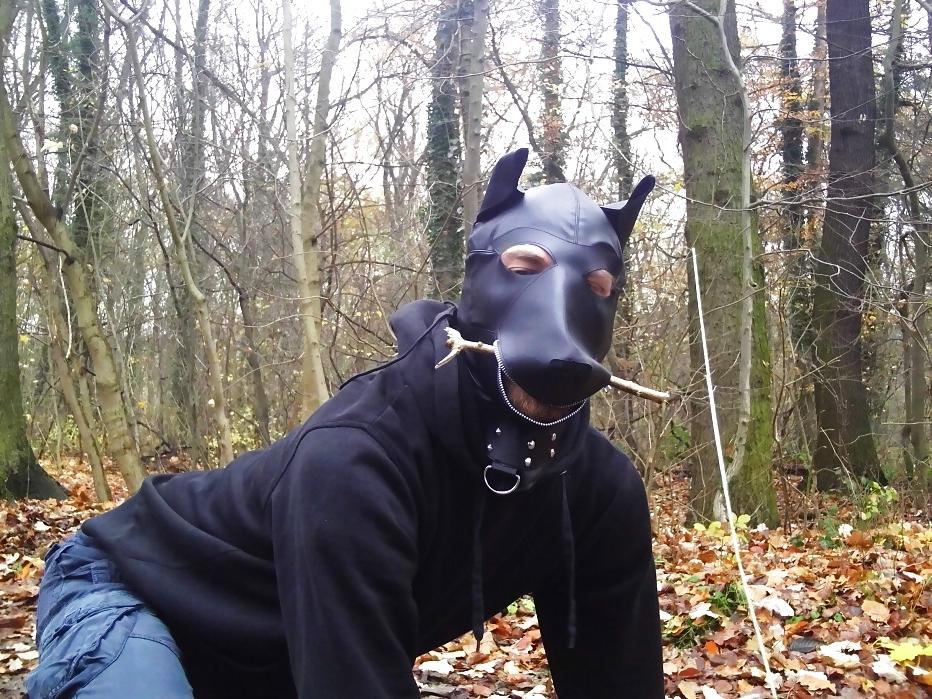 10P Sklavenhund im Wald - slave in the woods