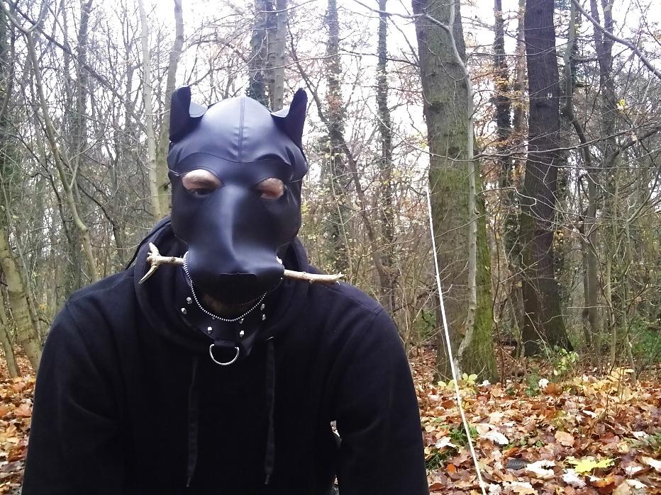 10P Sklavenhund im Wald - slave in the woods