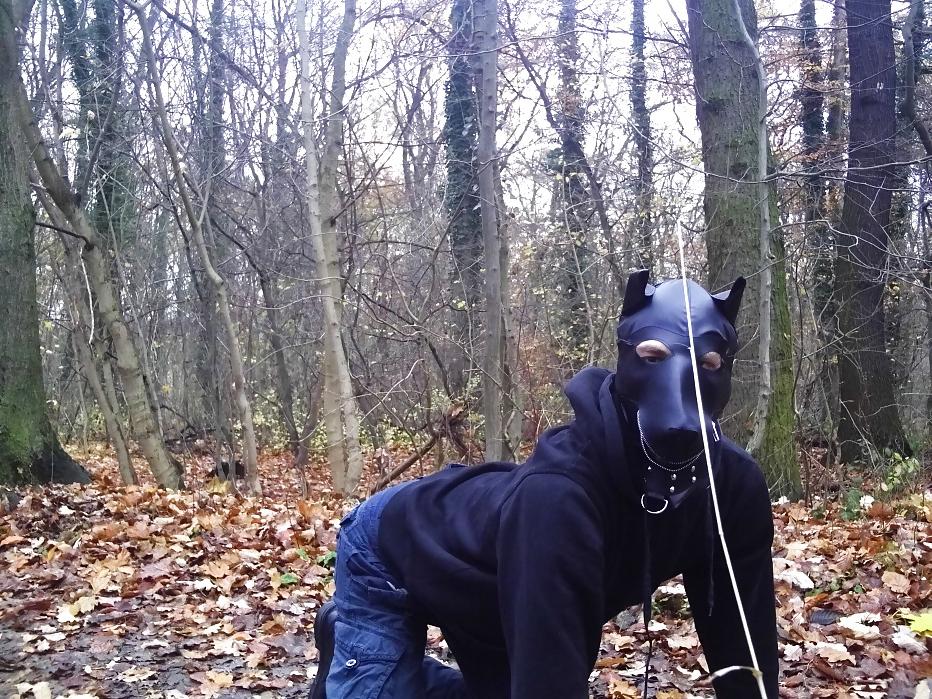 10P Sklavenhund im Wald - slave in the woods