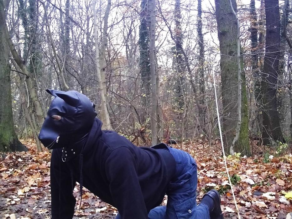 10P Sklavenhund im Wald - slave in the woods