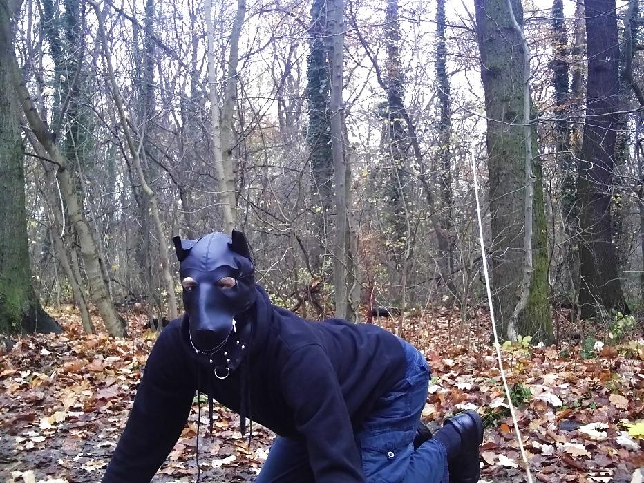 10P Sklavenhund im Wald - slave in the woods
