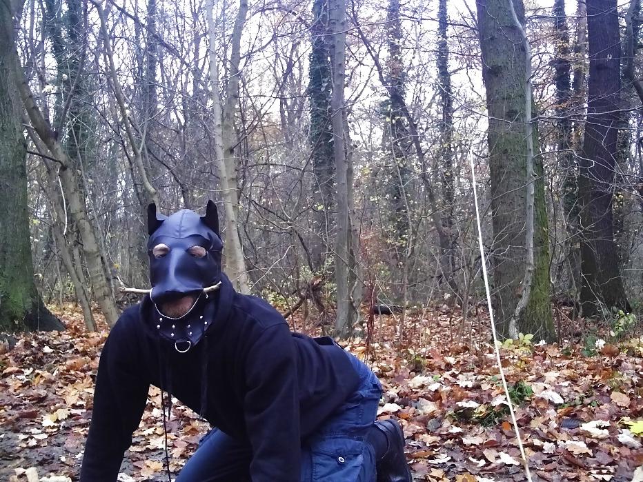 10P Sklavenhund im Wald - slave in the woods
