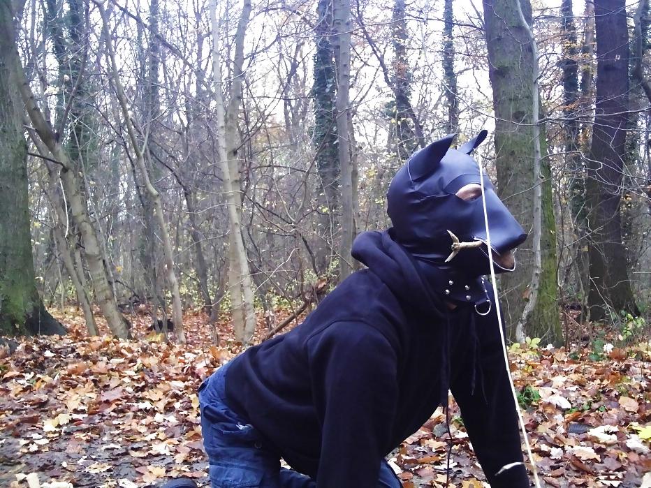 10P Sklavenhund im Wald - slave in the woods