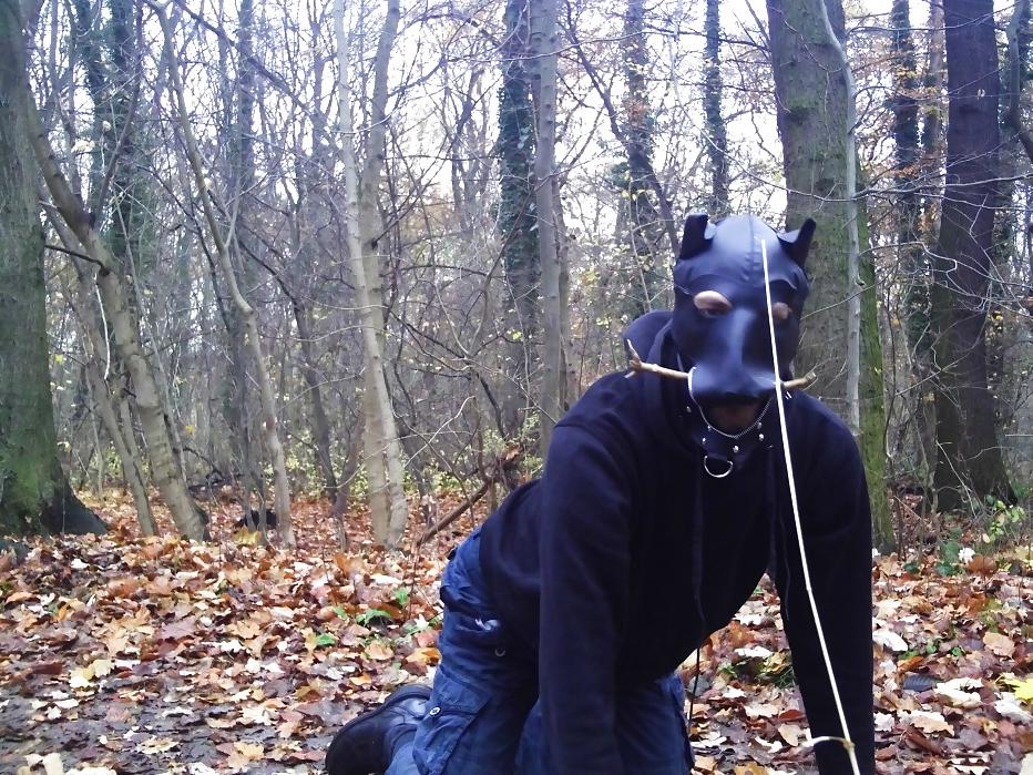 10P Sklavenhund im Wald - slave in the woods