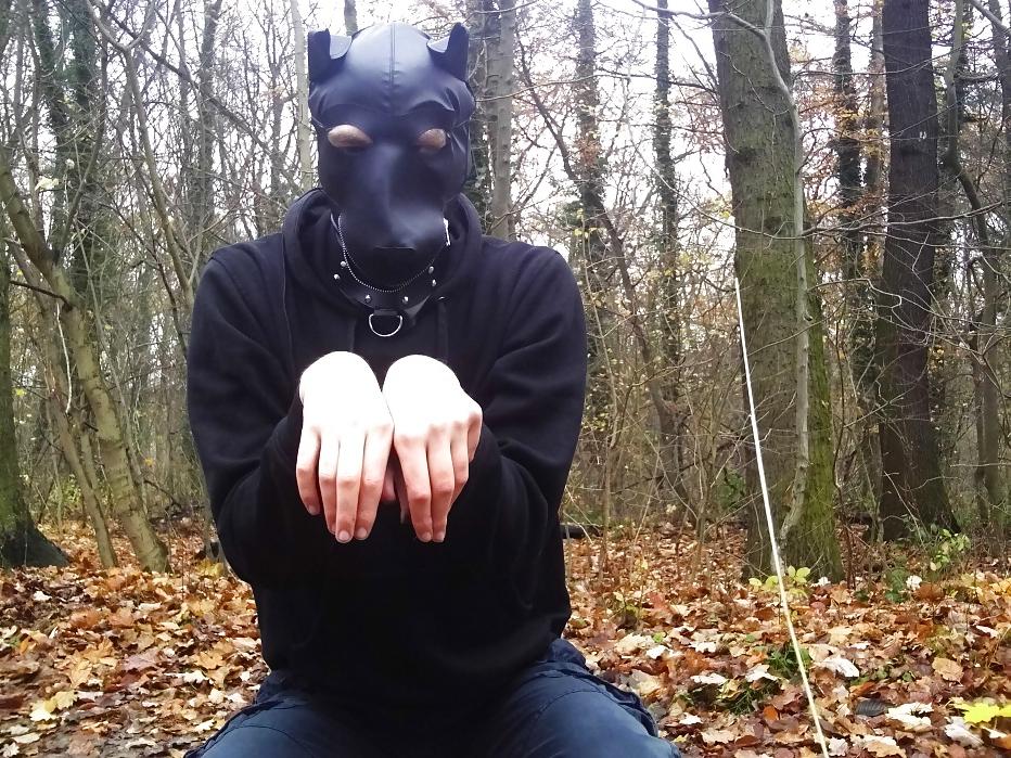 10P Sklavenhund im Wald - slave in the woods