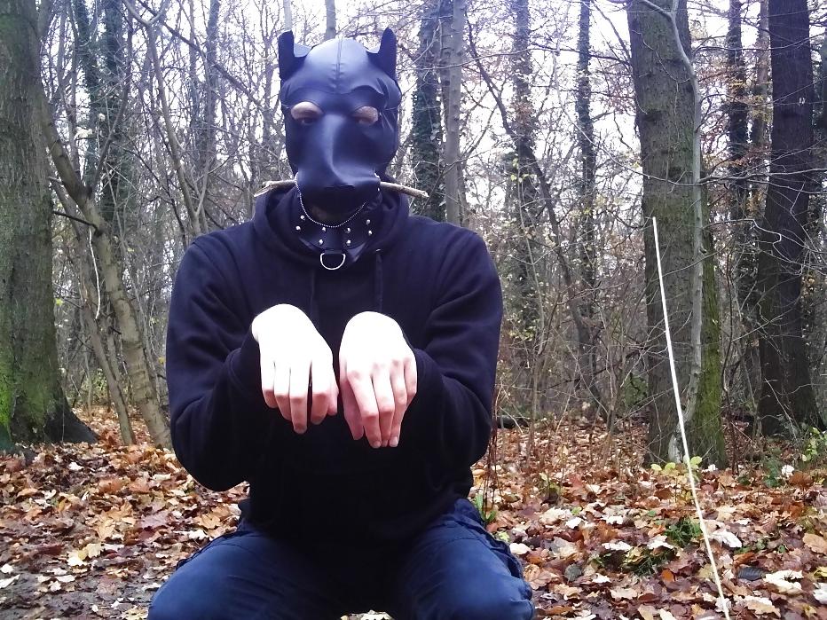 10P Sklavenhund im Wald - slave in the woods