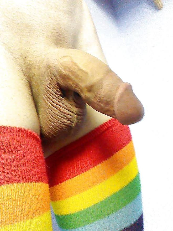 4P Sissy girl