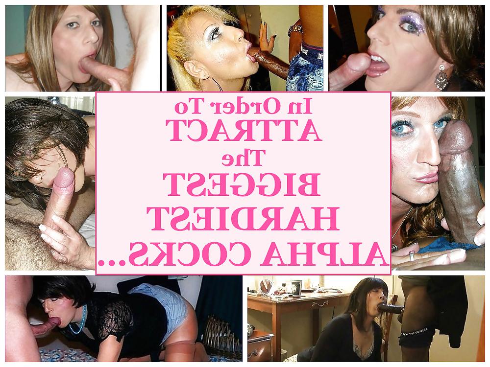 25P How YOU WILL become a COCK ADDICTED SISSY