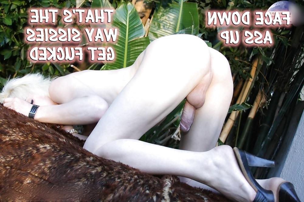 16P My beloved sissy captions 2